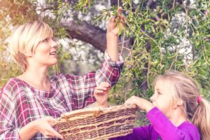 Dal rapporto sul comparto al portale dedicato con tanto di experience: l&rsquo;oleoturismo vuole crescere