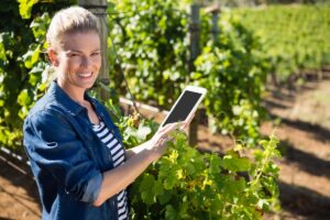 Francia, l’industria vinicola adotta un’app per monitorare le malattie della vite Francia, l’industria vinicola adotta un’app per monitorare le malattie della vite