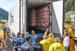 Dalle cosce di suino danesi all’uva indiana: i primi risultati dei controlli effettuati sul Brennero