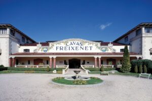 La siccità colpisce il Cava e il “big” Freixenet annuncia un piano di ristrutturazione occupazionale La siccità colpisce il Cava e il “big” Freixenet annuncia un piano di ristrutturazione occupazionale