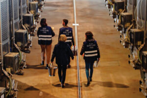 Sicurezza in tavola: nel 2023 oltre 54.000 prodotti e 28.300 operatori nei controllati dall’Icqrf