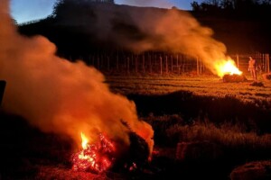 Frost in North, snow in Center, drought in South: bad spring weather puts agriculture in crisis