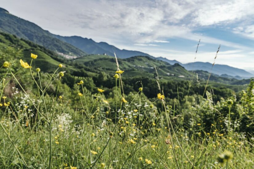 La “Primavera del Conegliano Valdobbiadene Prosecco” nelle Colline Patrimonio Unesco 
