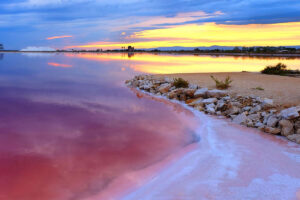 &ldquo;La salicoltura marina &egrave; pratica agricola&rdquo;. Obiettivo, una normativa per un settore da 60 milioni