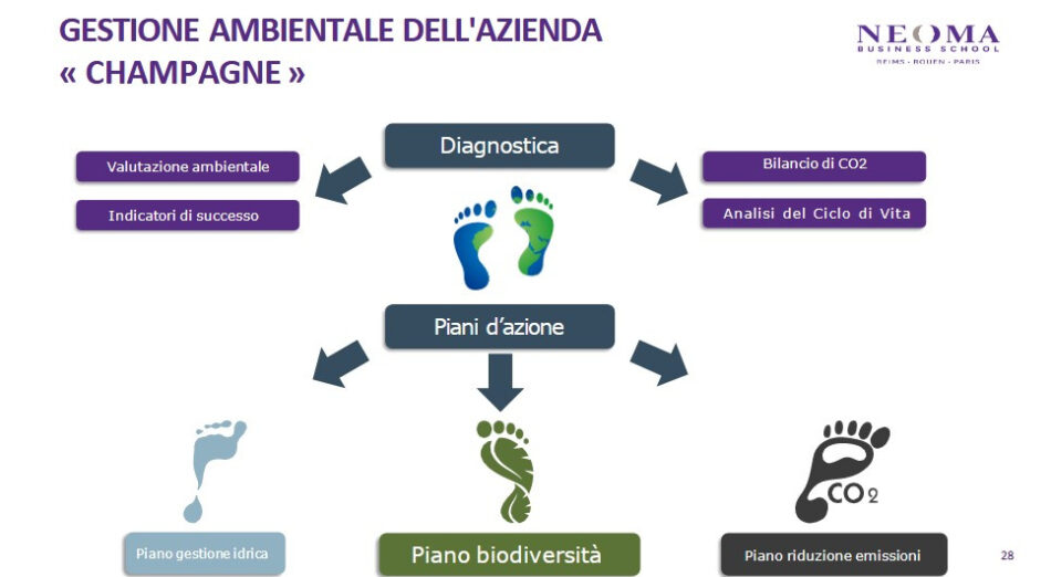 Anche lo Champagne affronta la sfida della sostenibilità