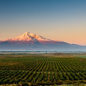 Gli “Stati generali” del turismo del vino nel Paese in cui la viticoltura è nata, 6.000 anni fa