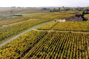 Bordeaux “En Primeur” 2023: i wine merchant sperano in un ribasso dei prezzi per ripartire