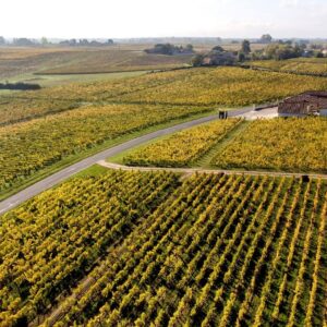 Bordeaux “En Primeur” 2023: i wine merchant sperano in un ribasso dei prezzi per ripartire