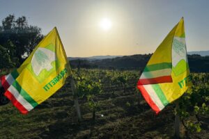 Dai cinghiali al falso made in Italy: tra campi e mercato, le priorit&agrave; di Coldiretti