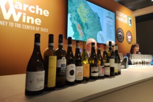 Una continentale, l’altra marina, le due “anime” del Verdicchio dimostrano un percorso di qualità