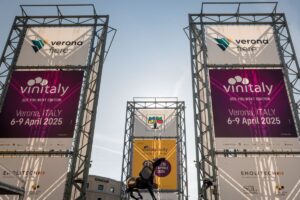 Italian wine seeks growth after initial positive signs picked up at Vinitaly 2024