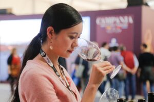 I vini Premium cresceranno ancora nei prossimi anni, a compensare la discesa della fascia bassa