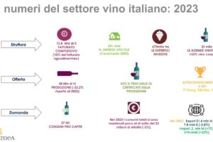 L’Italia del vino by Ismea: fatturato a 13,8 miliardi l’export ne vale 7,8, giù la produzione