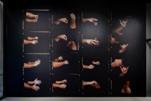 Ritrovare la meraviglia dell’infanzia nella cantina di famiglia: il nuovo progetto di Zenato Academy