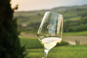 I Quaderni di WineNews - I Bianchi del Collio