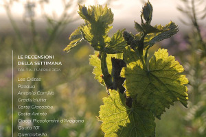 I Vini di WineNews - N. 305