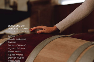 I Vini di WineNews - N. 306