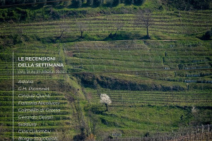 I Vini di WineNews - N. 307