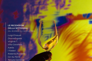 I Vini di WineNews - N. 308