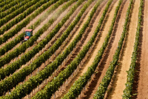 Produrre di più con meno? Una riflessione critica sul mantra dell’agricoltura contemporanea Produrre di più con meno? Una riflessione critica sul mantra dell’agricoltura contemporanea