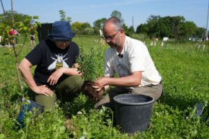 Greenpeace rilancia il &ldquo;Bosco delle Api&rdquo;, il progetto che trasforma aree degradate in oasi naturali
