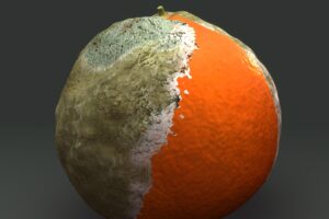 &ldquo;Overshoot Day 2024&rdquo;: l&rsquo;Italia ha &ldquo;finito&rdquo; le sue risorse rinnovabili il 19 maggio