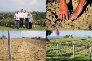Piantare nuova vigna vuol dire investire nel futuro del settore e del territorio. Come fa Braida