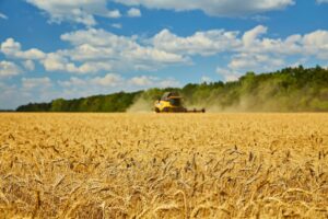 Lo scenario è complesso, ma le imprese agricole italiane investono su sostenibilità e innovazione