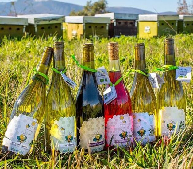 L’Abruzzo sostenibile non è solo vino ma anche miele (credit: Cantina Orsogna)
