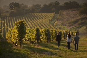 Dallo street food ai Dj set, “Cantine Aperte” (dopo 31 anni) ha ancora molto da dire 