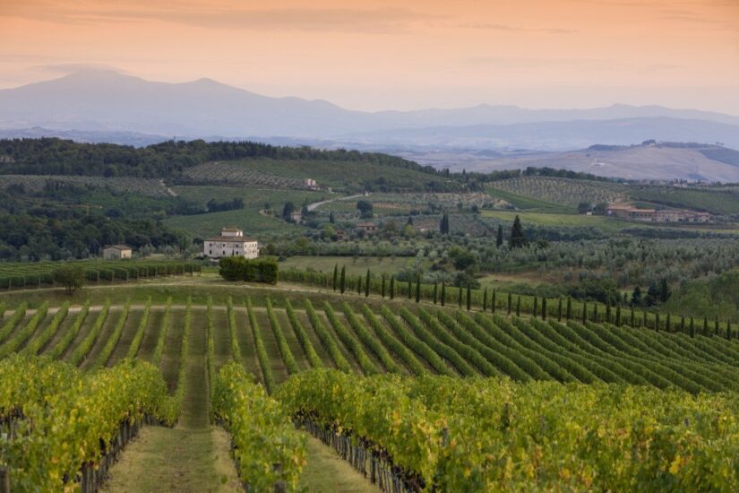 Il Chianti Classico, icona che fa innamorare la cultura