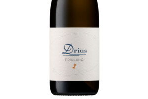 Drius, Doc Collio Friulano 2022