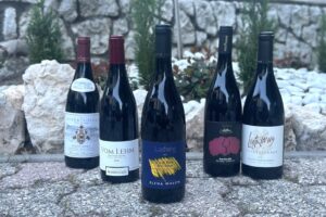 I migliori Pinot Nero dell’Alto Adige? Elena Walch, Rohregger, Seeperle, Tiefenbrunner e Peter Sölva