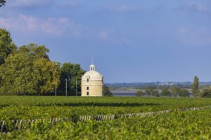 Bordeaux “en primeur” 2023, continuano i ribassi. Ma il mercato non decolla