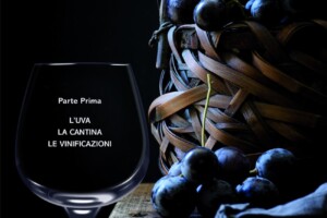 Di tutto e di più sul vino, nell’“Enologia teorica e pratica” spiegata da Guido Fatucchi