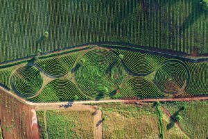 “Limito” combines “land art” and viticulture to become the largest vineyard-labyrinth in the world