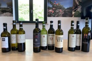 “Morellino del Cuore”, i dieci vini “portabandiera” della denominazione più storica della Maremma