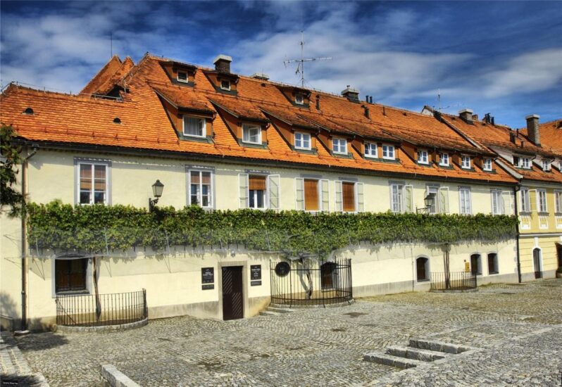 “The Old Vine House” di Maribor (Slovenia)