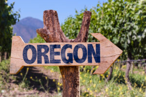 Incendio in Oregon nel 2020, le aziende vinicole chiedono 100 milioni di dollari per i danni subiti