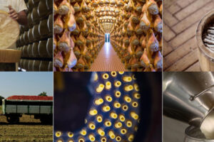 Parma, dove l’agroalimentare della “Food Valley” vale di 8,2 miliardi di euro