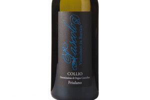 Pascolo, Doc Collio Friulano 2022