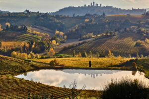 Vernaccia di San Gimignano: anche la “Regina Ribelle” alle prese con il climate change