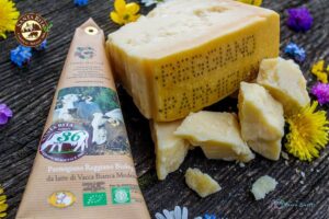 Santa Rita Bio - Parmigiano Reggiano di Vacca Bianca Modenese Presidio Slow Food Santa Rita Bio - Parmigiano Reggiano di Vacca Bianca Modenese Presidio Slow Food