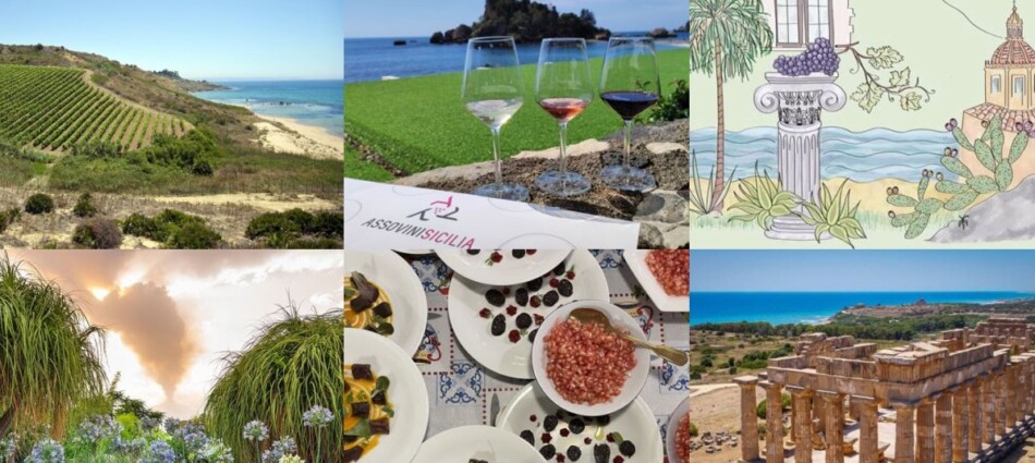 La Sicilia del vino, “singolare e plurale”, dopo il suo “Rinascimento”, vuole “coltivare il futuro”