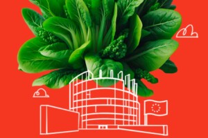 I &ldquo;12 punti per l&rsquo;Europa che vorremmo&rdquo; nel Manifesto Slow Food Italia per le elezioni europee