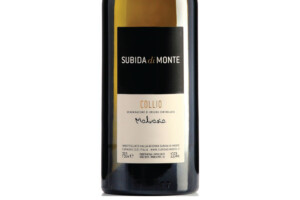 Subida di Monte, Doc Collio Malvasia 2021