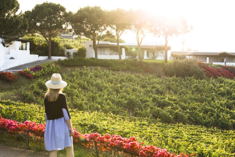 Tasca d’Almerita promuove un ricco calendario di experience nelle Tenute in Sicilia