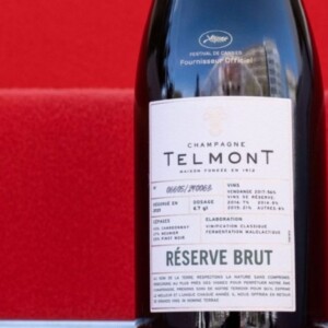 Champagne sì, ma “ecologicamente” impegnato: a Cannes le celebrities brindano con Telmont
