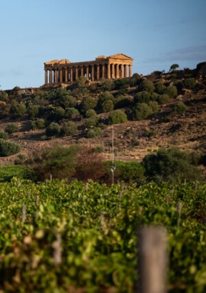 L&rsquo;enoturista che arriva in Sicilia? Straniero, sui 50 anni, non per forza esperto di vino ma curioso