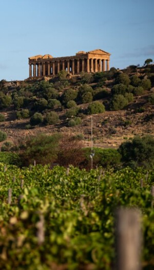 L&rsquo;enoturista che arriva in Sicilia? Straniero, sui 50 anni, non per forza esperto di vino ma curioso